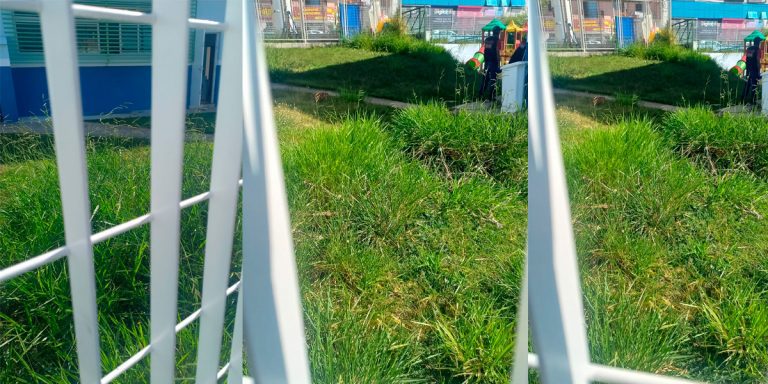Mato alto e falta de manutenção preocupam pais na CEI 119, em Sorocaba
